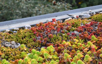 the cost of Hannah green roof installation