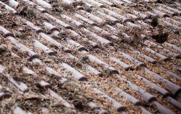 Hannah roof cleaning companies