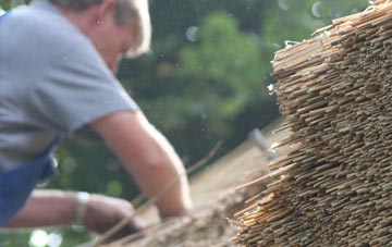 professional Hannah thatchers